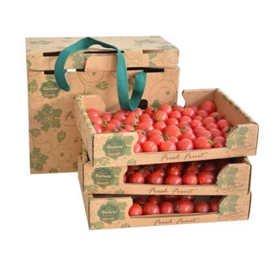 OEM strawberry corrugated box packaging