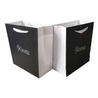 Gift Paper Bag Manufacture,Kraft Paper Bag Packaging