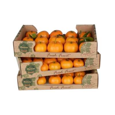 Fresh fruit corrugated outer carton box packaging