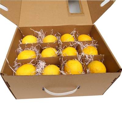 customized carton box corrugated box for fruit packaging